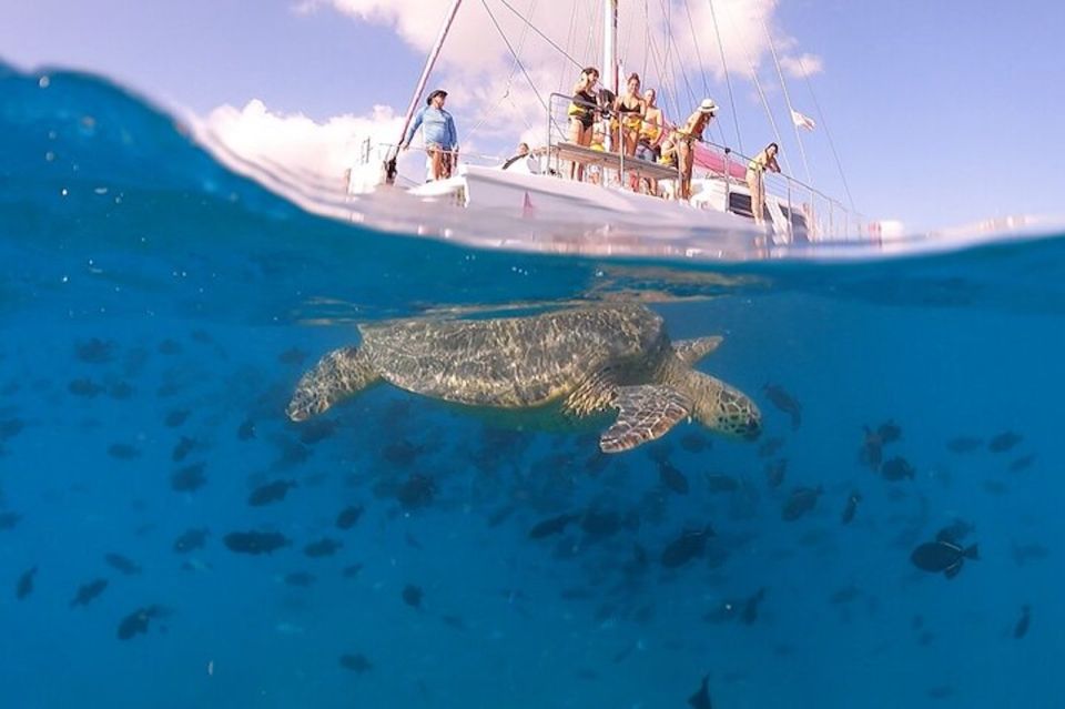 Oahu: Waikiki Turtle Snorkeling Adventure Cruise