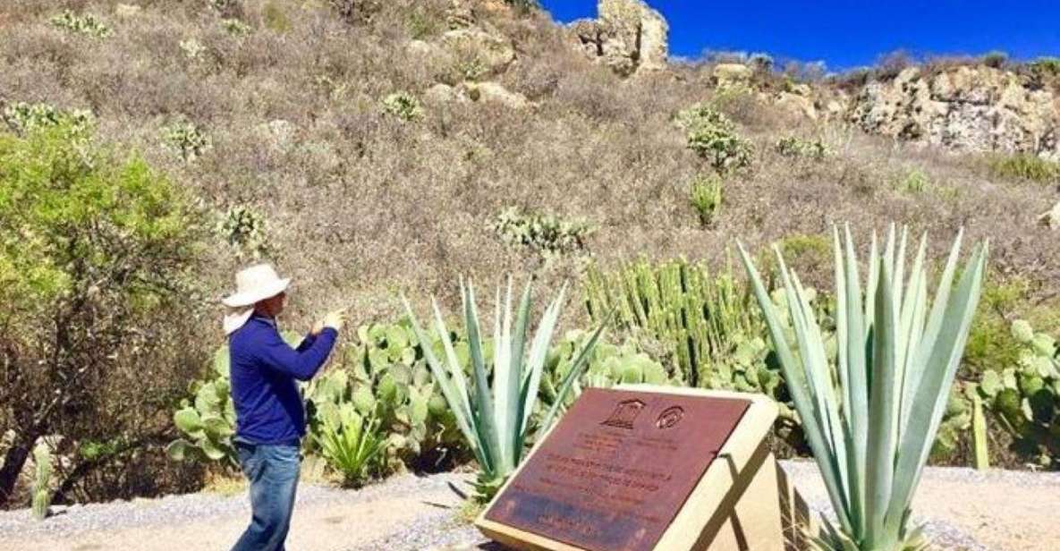 Oaxaca: Exclusive Private Yagul UNESCO Heritage Site Tour - Inclusions