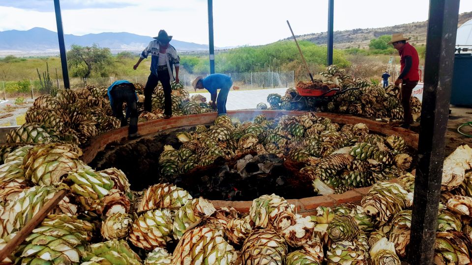 Oaxaca: Mezcal Adventure - Review Summary