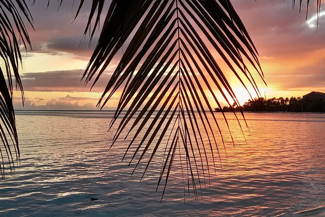 Observation of Marine Flora and Fauna in Bora Bora - Immersive Marine Discovery Cruise