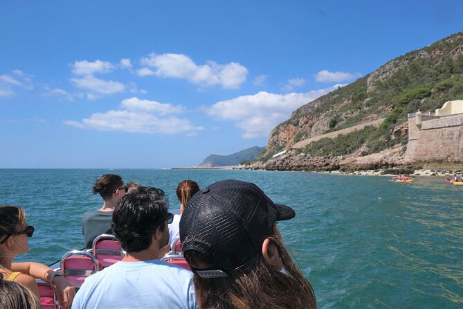 Observing Dolphins in Setúbal - What to Bring on the Tour