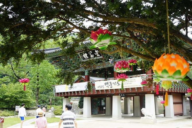 Odaesan National Park Hiking Day Tour: Explore Autumn Foliage Korea - Wildlife and Flora Encounters