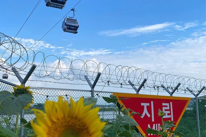Odusan & Imjingak Gondola, Experience the Reality of Division - Panoramic Views of the DMZ