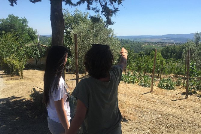 Off Road Wine Tour in Chianti From Florence - Customer Feedback and Reviews