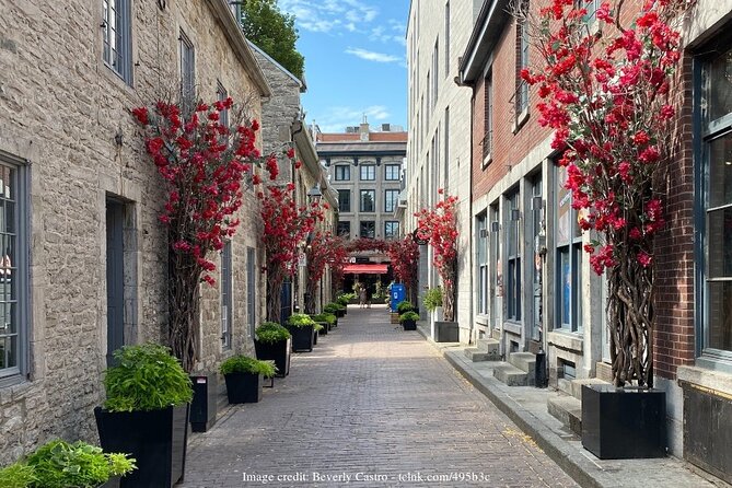 Old Montreal: Private History Walking Tour With Tastings - Pricing Information