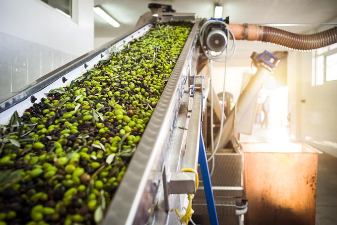 Olive Oil Tasting & Ancient Epidavros - Sampling Olives and Delicacies