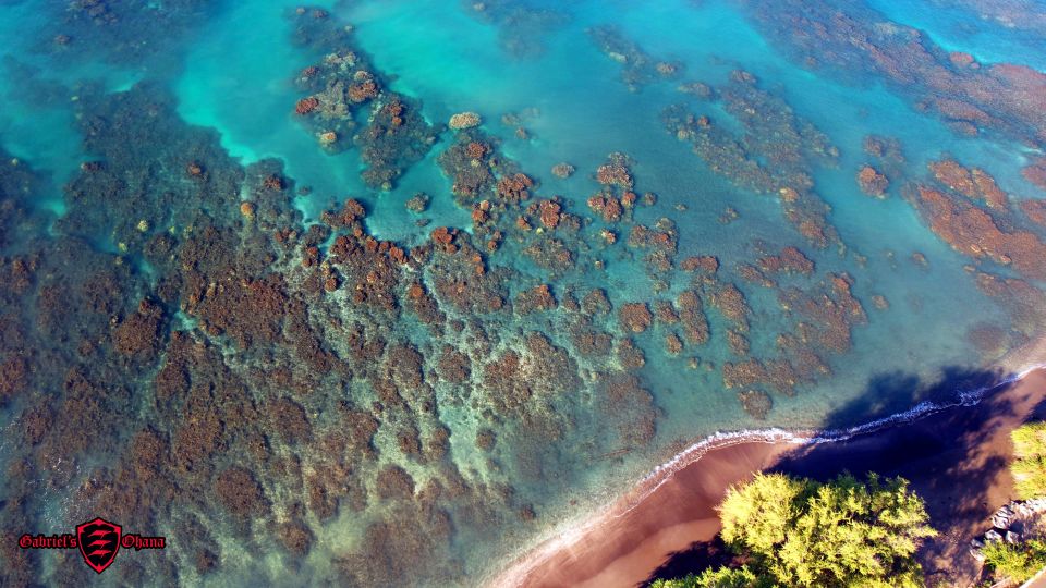 Olowalu: Guided Tour Over Reefs in Transparent Kayak - On-Water Amenities