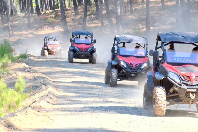 Oludeniz Forest & Beach Buggy Excursion From Fethiye - Customer Feedback