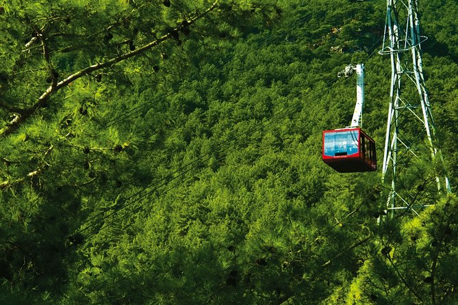 Olympos Teleferik Cable Car Antalya Ticket - Company Information