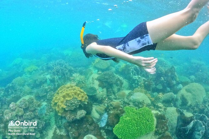 Onbird - Private Family KID-FRIENDLY Snorkeling Trip by Speedboat in Phu Quoc - Itinerary