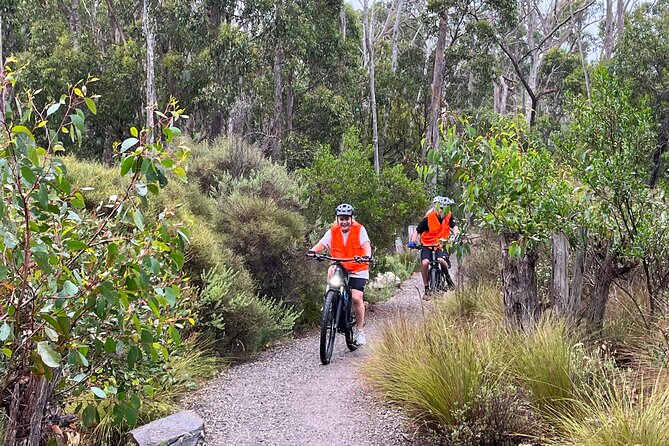 One Day E-Bike Hire - Tourism Partners - Review Authenticity