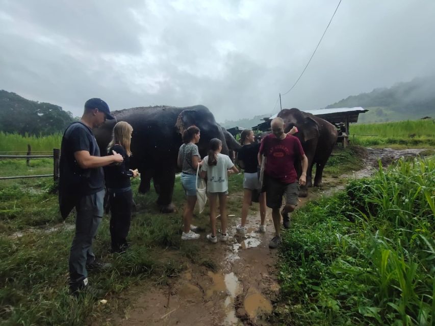 One Day Non Tourist Trek - Morning Pickup and Departure