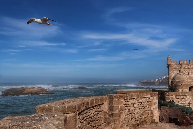 One Day Trip From Marrakech To Essaouira - Independent Exploration in Essaouira