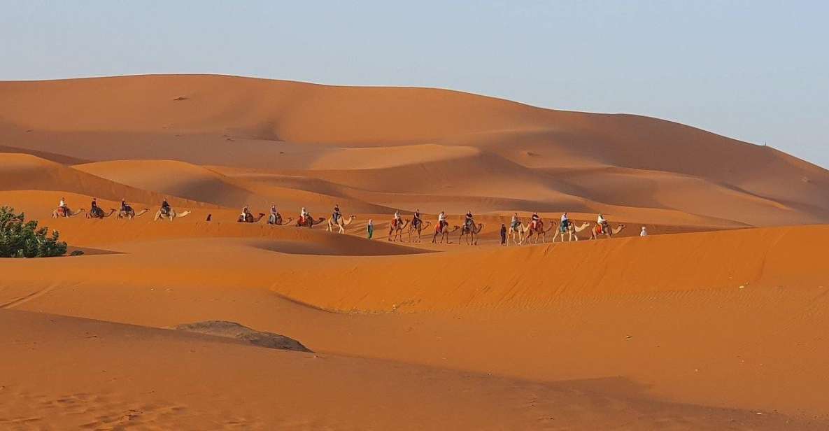 One Way Trip From Fez to Merzouga (Only Transportation ) - Highlights of the Trip