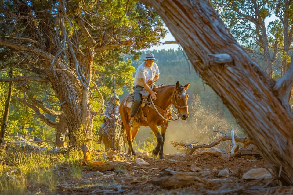 Orderville: Checkerboard Mesa Guided Sunset Horseback Ride - Review Summary