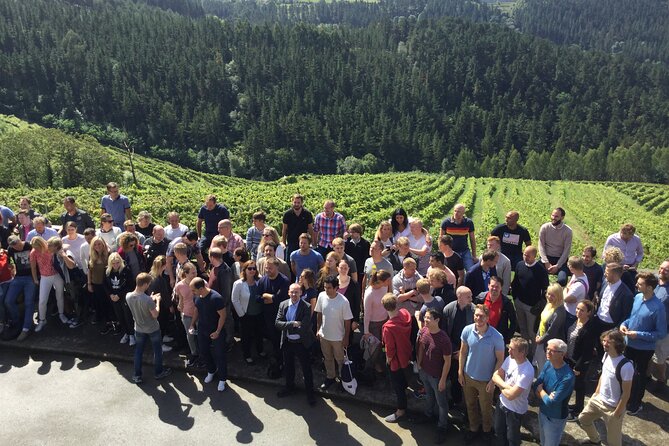 Organic Winery Visit With Tasting in Bilbao - Vineyard Tour Highlights