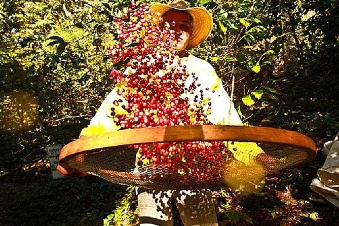 Original Historic Coffee Farm Guided Tour With Transfer - Additional Information and Cancellation Policy