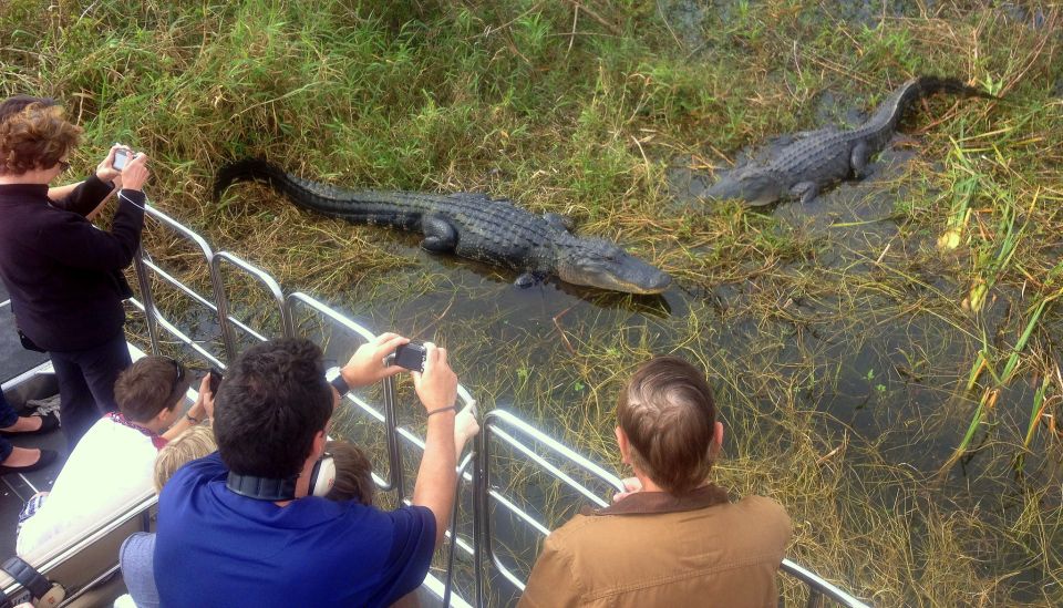 Orlando: Everglades Airboat Ride and Wildlife Park Ticket - Booking Information