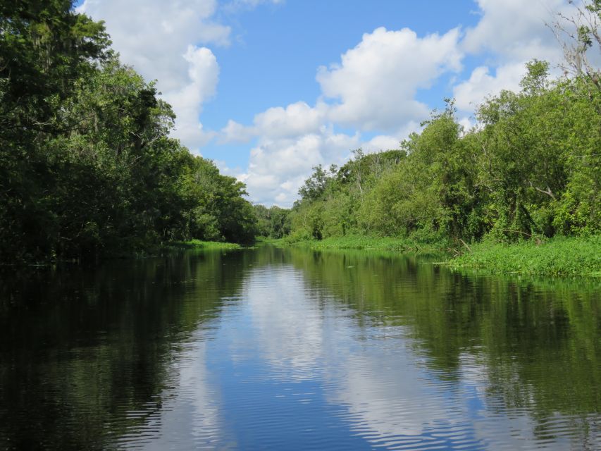 Orlando: Small Group Manatee Discovery Kayak Tour - Inclusions