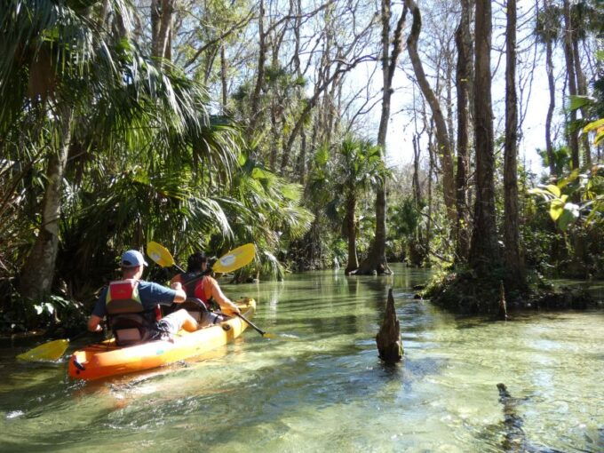 Orlando: Small Group Rock Springs Run Kayak Tour