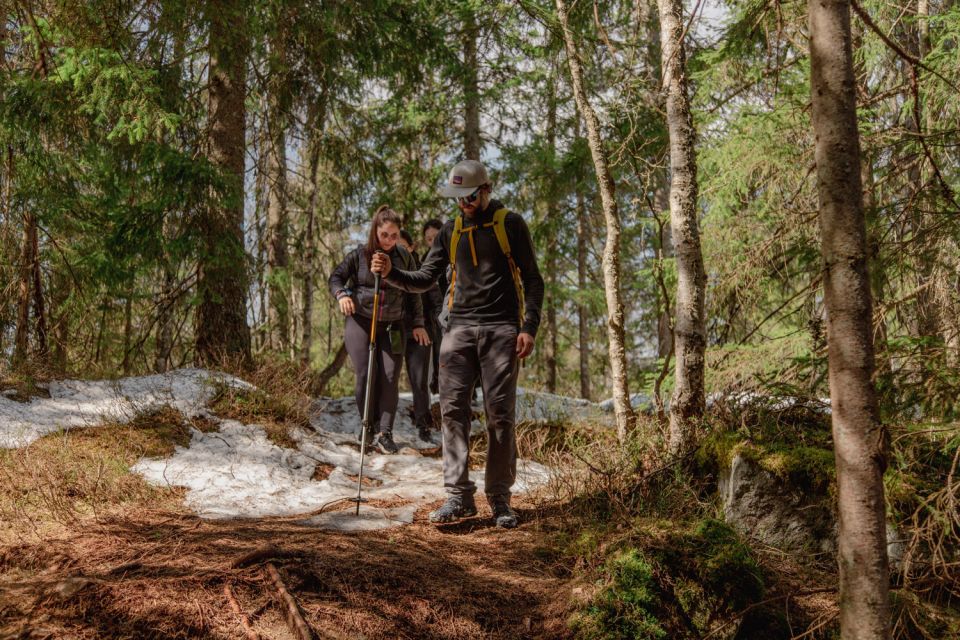 Oslo: Skjennungstoppen Wildlife Forest Hiking Tour - Tour Details