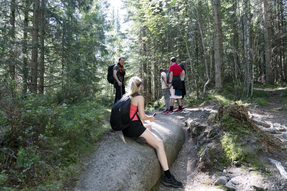 Oslo: Vettakollen Hike With Oslofjord View - Reservation Details