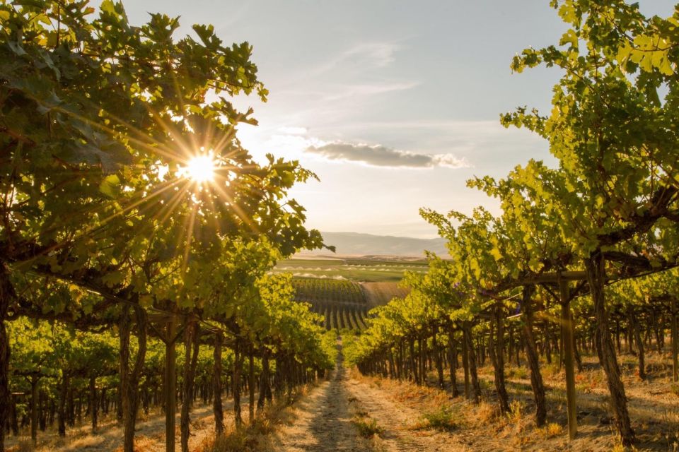 Osoyoos: Osoyoos Full Day Guided Wine Tour - Tour Itinerary Details