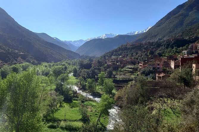 Ourika Valley and Atlas Mountains Day Trip - Traveler Reviews