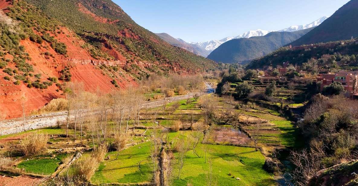Ourika Valley: Highlights Tour From Marrakech - Waterfall Exploration in Ourika Valley