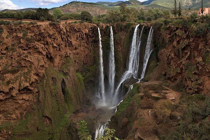 Ouzoud Falls Day Trip From Marrakech - Reviews and Ratings