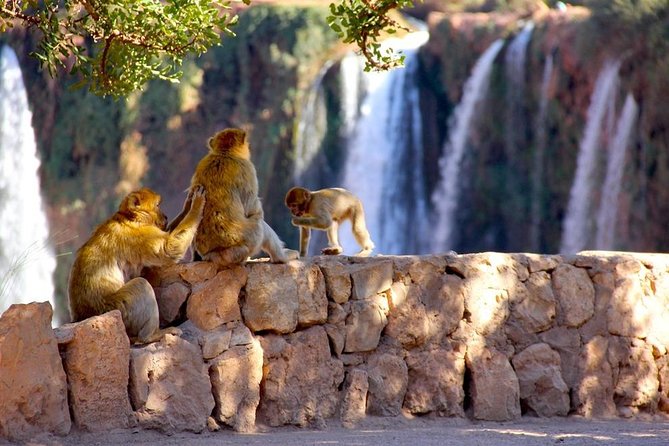 Ouzoud Waterfalls Tour From Marrakech In Group - Booking Process