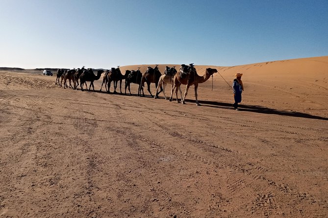 Overnight Desert Trips From Fez to Fez - Cancellation Policy