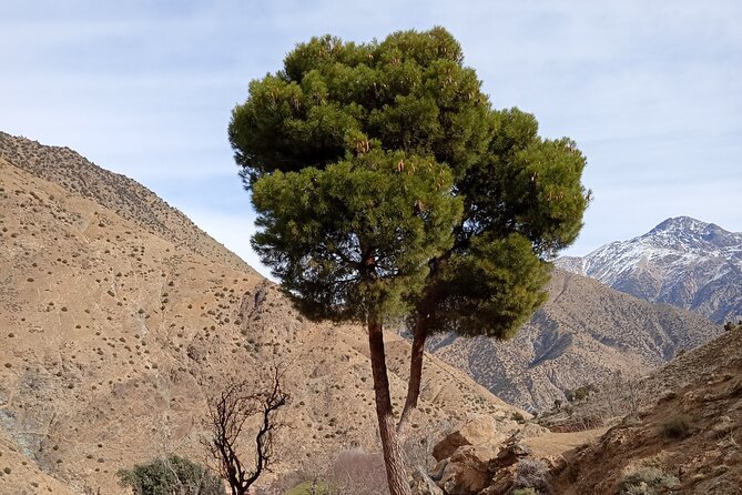 Overnight in a Berber Village in the Heart of the Atlas Mountains - Logistics Information