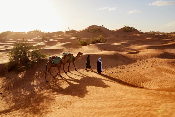 Overnight Tour From Fes to Sahara Desert - Reviews Analysis