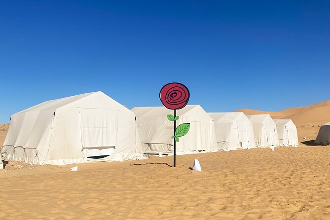 Overnight Tunisia Sahara Desert Safari by 4x4 From Douz - Traveler Reviews and Ratings