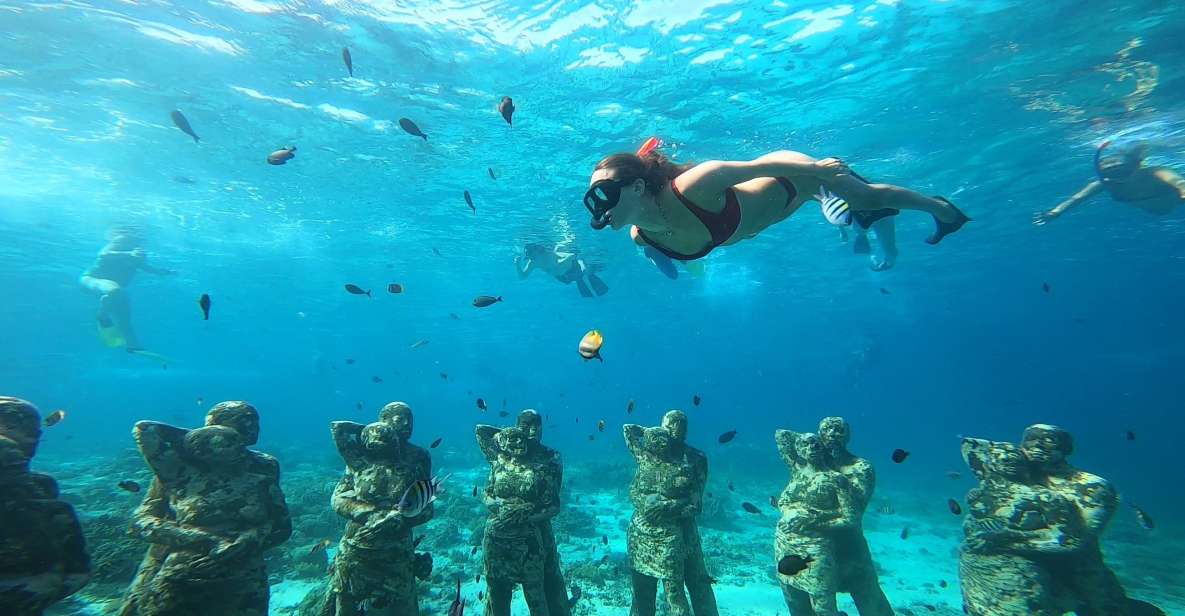 Ozzy Snorkeling 3 Islands - Touring Gili Islands and Turtle Point