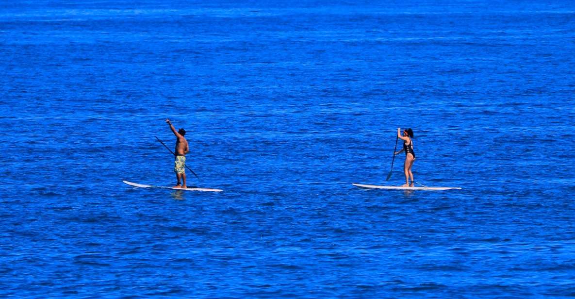 Paddle Board - Safety Measures