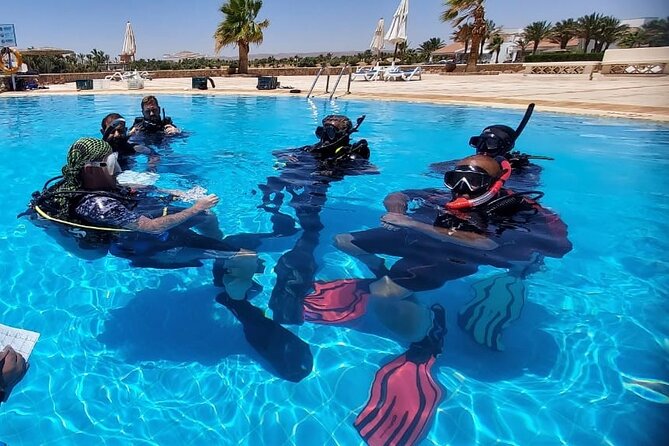 PADI Open Water Diver Course in Hurghada - Learn Scuba Diving - Instructor and Group Setting