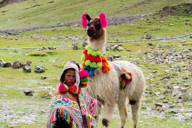 Palccoyo Rainbow Mountain From Cusco With Transfers and Lunch - Inclusions and Exclusions