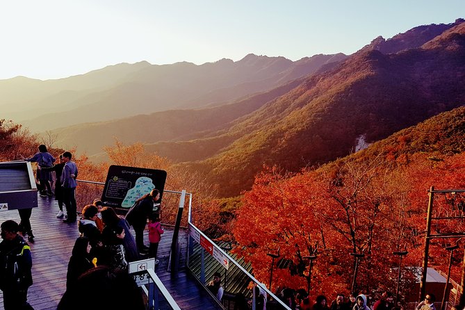 Palgongsan Natural Park Autumn Foliage One Day Tour From Busan - Return Details