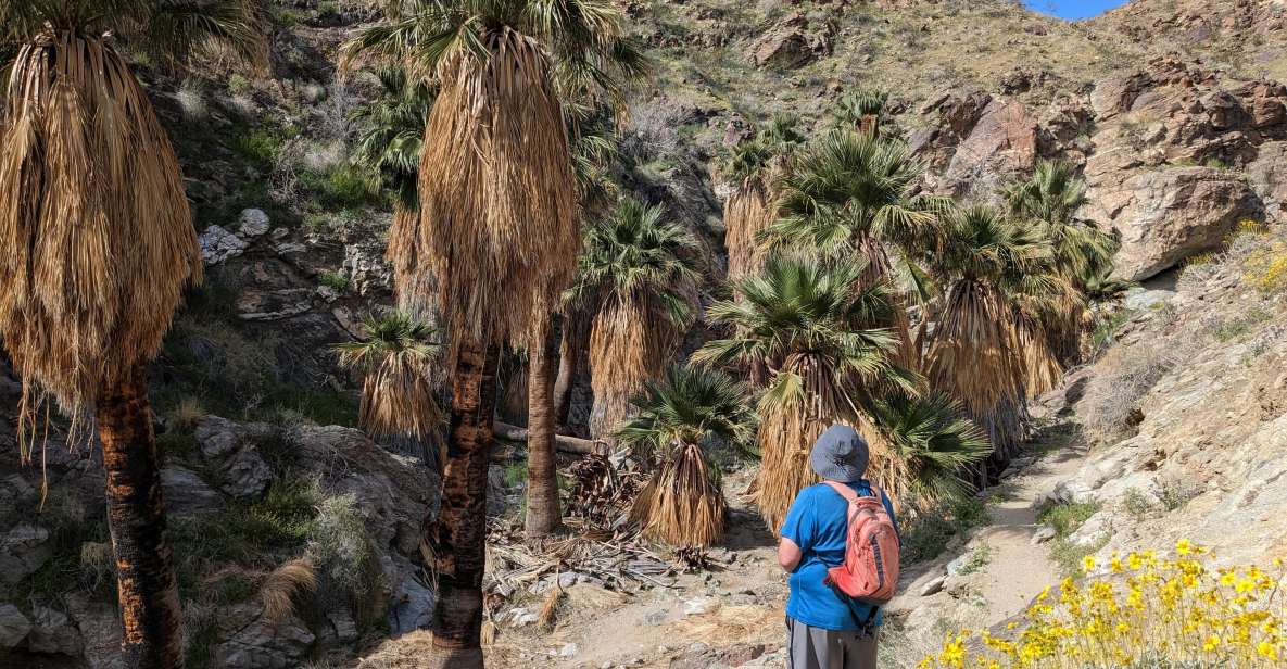 Palm Springs Hike to an Oasis and Amazing Desert Views - Important Reminders