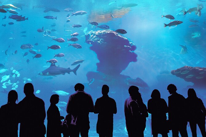 Palma Acquarium With Transfer - Common questions