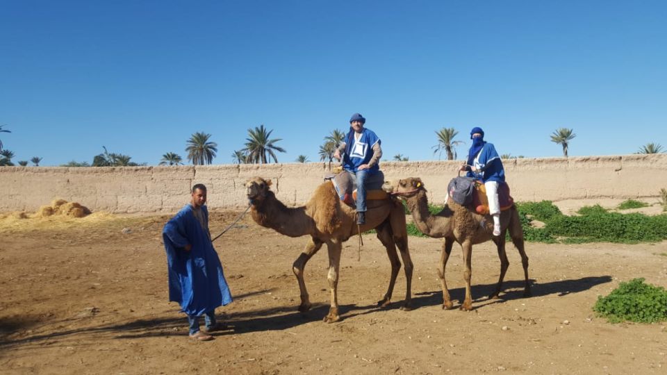 Palmeraie Quad Bike & Camel Ride - Inclusions