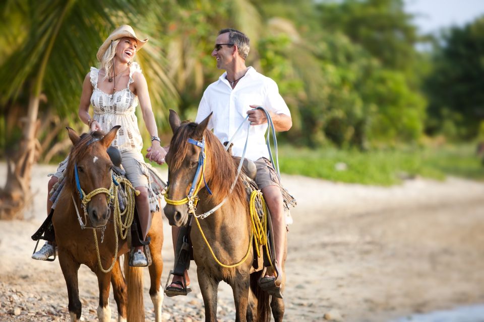 Palomino: Horseback Riding Tour on Palomino Beach - Experience Itinerary