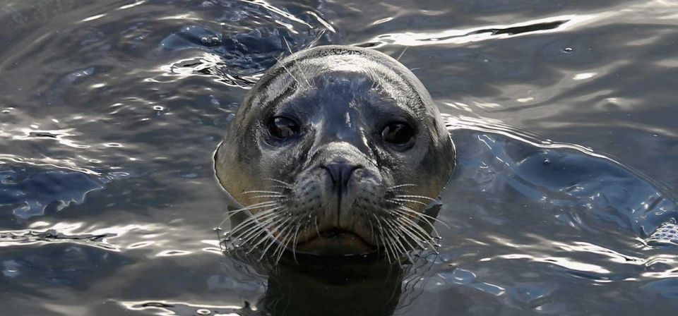 Palomino Islands Speedboat Excursion & Swim With Sea Lions - Location Details