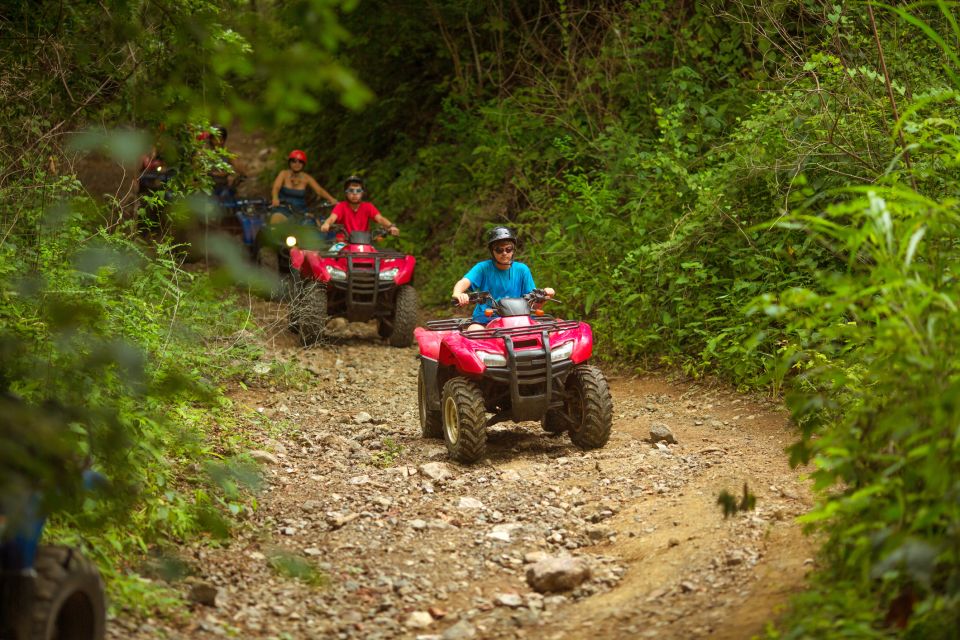 Palomino Quad Bike Tour - Highlights of the Tour