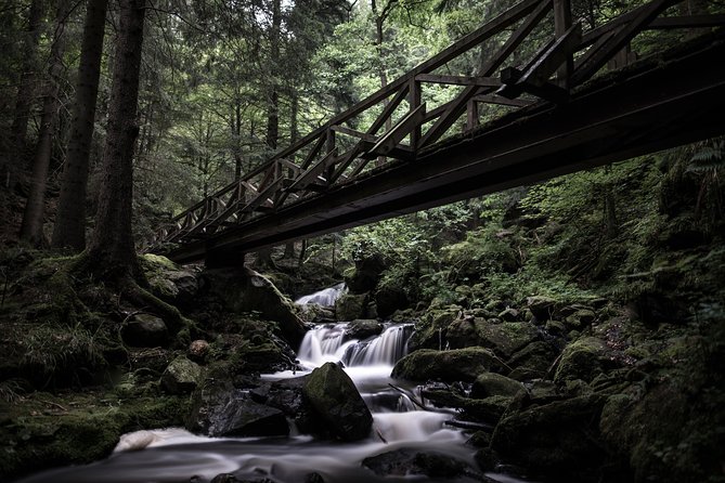 Panorama Hike Through the Black Forest Guided by a Local - Inclusions and Exclusions