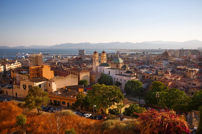 Panoramic and Old Cagliari Tour - Mobile Tickets and Language Options
