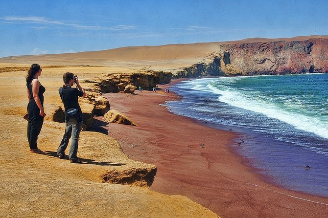 Paracas National Reserve & Ballestas Islands - Full Day From Lima - Customer Reviews