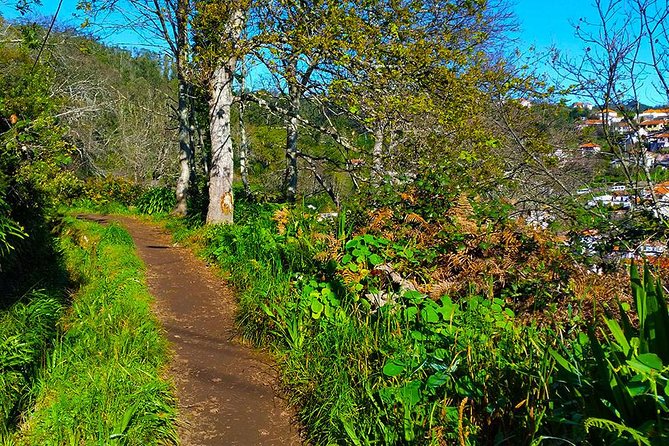 Paradise Valley - Levada Walk - Experience Highlights